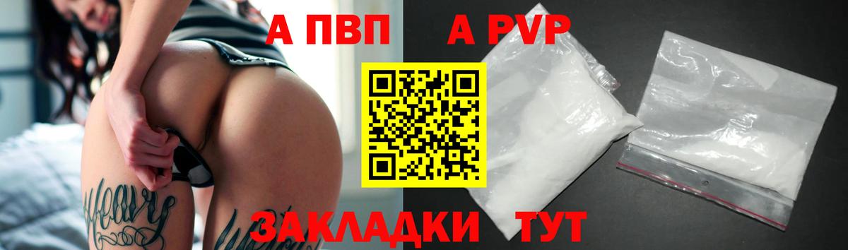 Альфа ПВП СК Вышний Волочёк