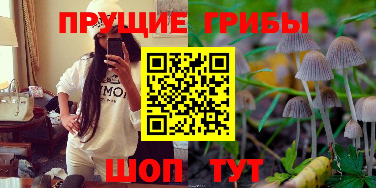 Галлюциногенные грибы GOLDEN TEACHER  наркотики  Вышний Волочёк 