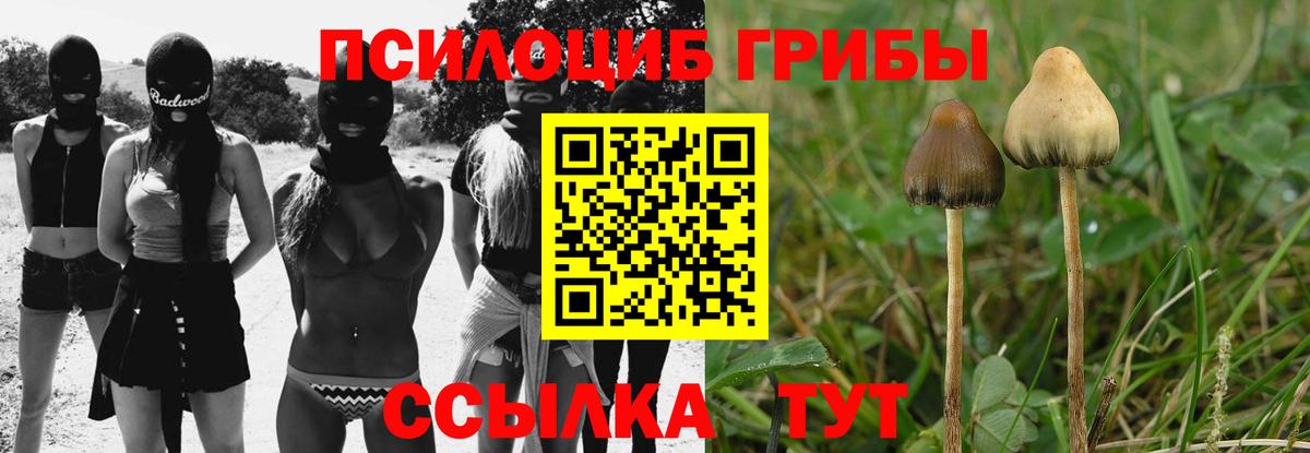 Вышний Волочёк  Псилоцибиновые грибы мицелий  Вход с VPN 